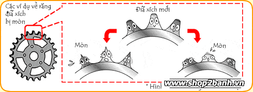 Nhông sên dĩa đi bao lâu thì phải thay - 2