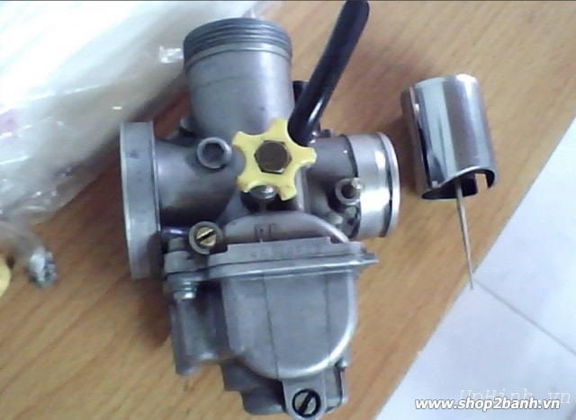 Bình bông mai những điều bạn cần biết - 1