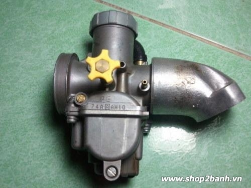 Bình bông mai những điều bạn cần biết - 2