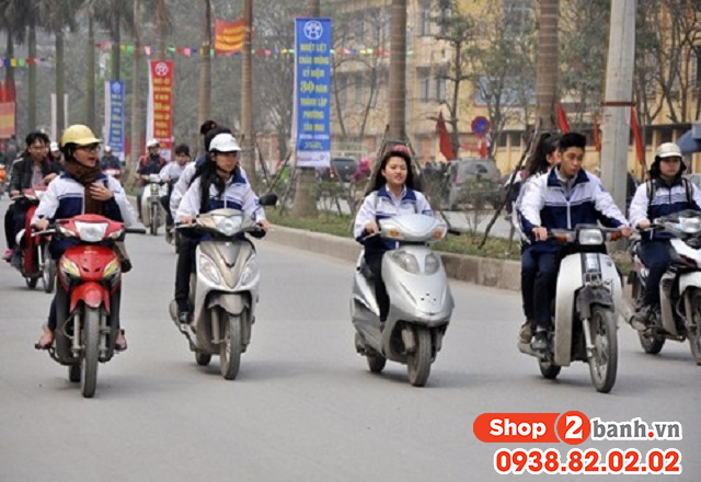 Năm 2026 chở thú cưng bằng xe máy không đúng cách bị phạt bao nhiêu - 3