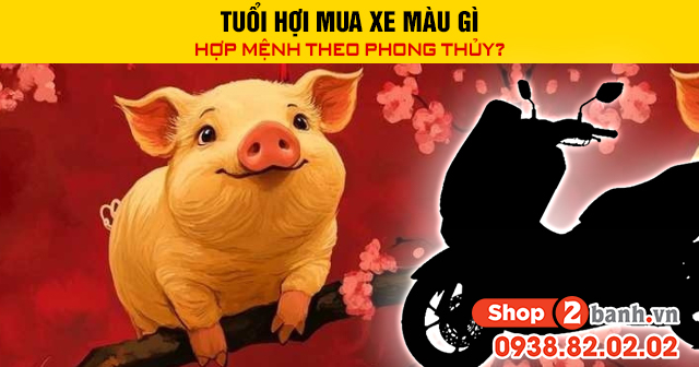 Tuổi hợi mua xe màu gì hợp mệnh theo phong thủy - 1
