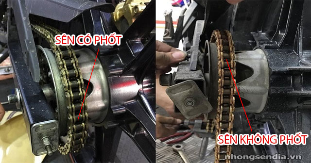 Cách phân biệt sên có phốt và không phốt
