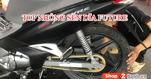 Top 3 loại nhông sên dĩa xe Future tốt bạn nên dùng