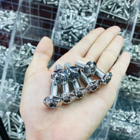 Bộ ốc đĩa Salaya inox cho Vario (4con)