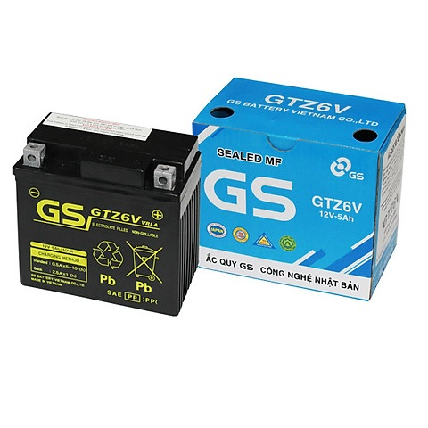 Bình ắc quy GS GTZ6V