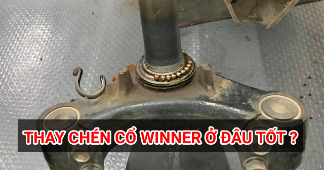 Thay chén cổ Winner chỗ nào uy tín? Giá bao nhiêu?