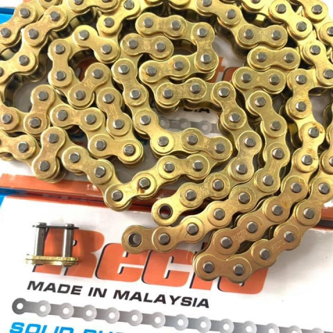 Sên vàng Recto 428SB-124L
