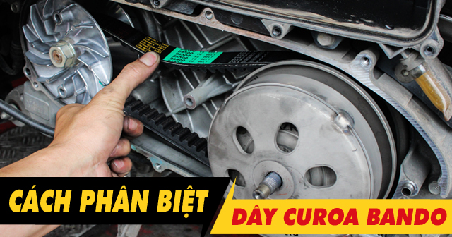 Cách nhận biết dây curoa Bando chính hãng tránh hàng giả