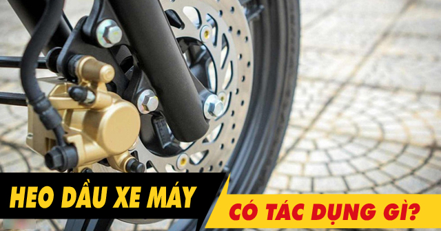 Heo dầu xe máy là gì? Có tác dụng gì trong hệ thống phanh đĩa?
