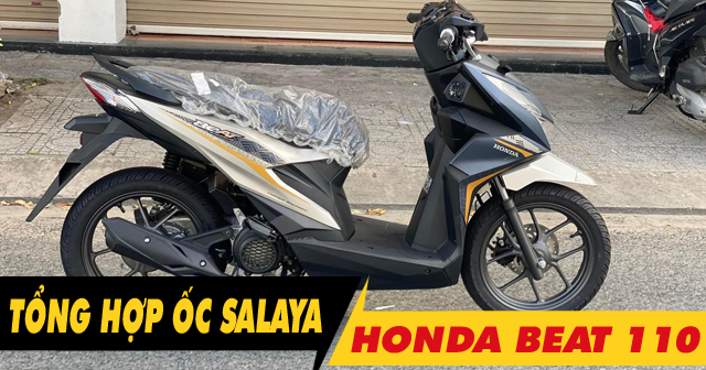 Tổng hợp ốc Salaya inox cho Honda Beat 110 độ đẹp tại 32Wing32