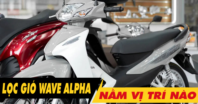 32win32 nét link không chặn xe Wave Alpha nằm ở đâu? Bao lâu thì nên thay mới?