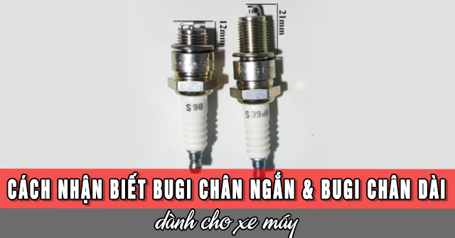 Cách nhận biết bugi chân dài và chân ngắn dành cho xe máy