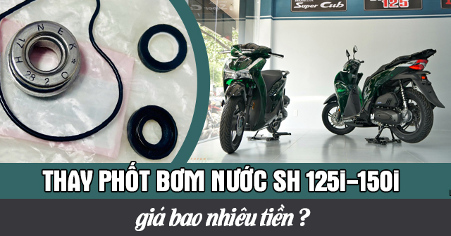 Thay phốt bơm nước SH 125i-150i bao nhiêu tiền?