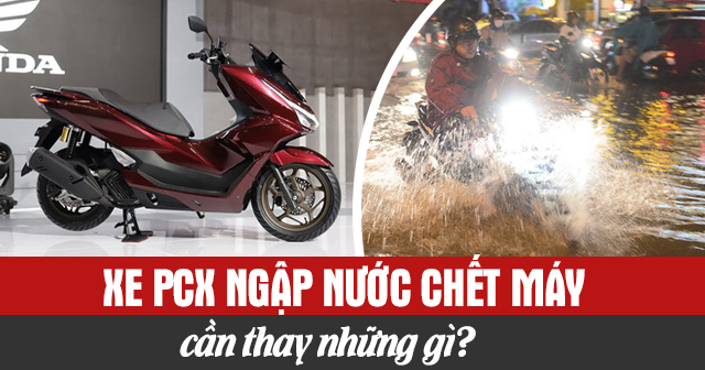Xe PCX ngập nước chết máy cần thay những gì?
