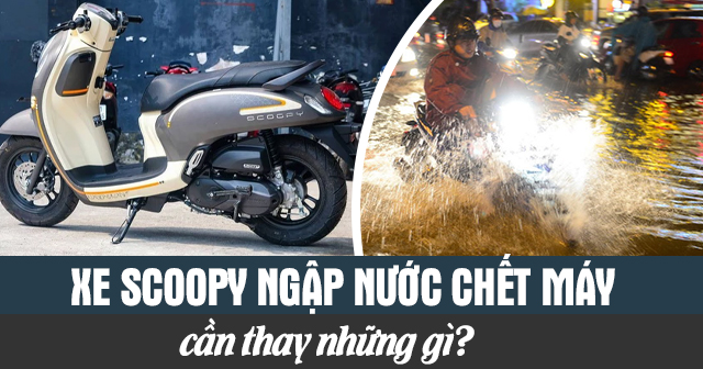 Xe Scoopy ngập nước chết máy cần thay những gì?