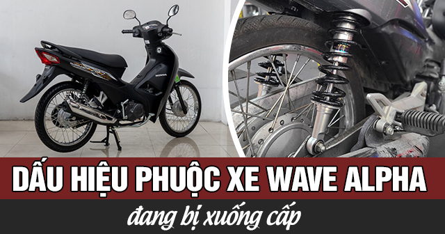 Dấu hiệu nào cho thấy phuộc nhún xe Wave Alpha đã xuống cấp?