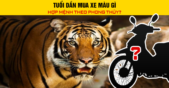 Tuổi Dần mua xe màu gì hợp mệnh theo phong thủy?