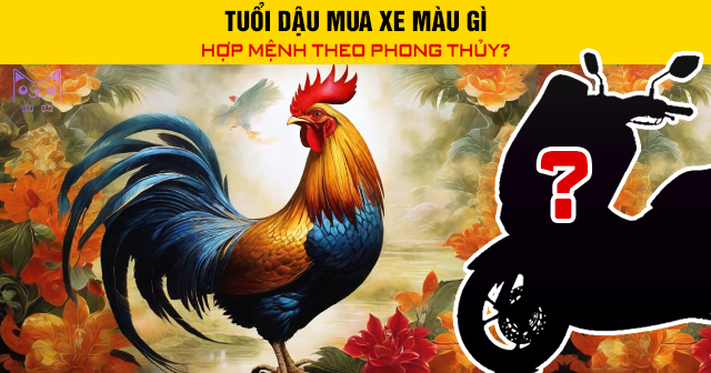 Tuổi Dậu mua xe màu gì hợp mệnh theo phong thủy?