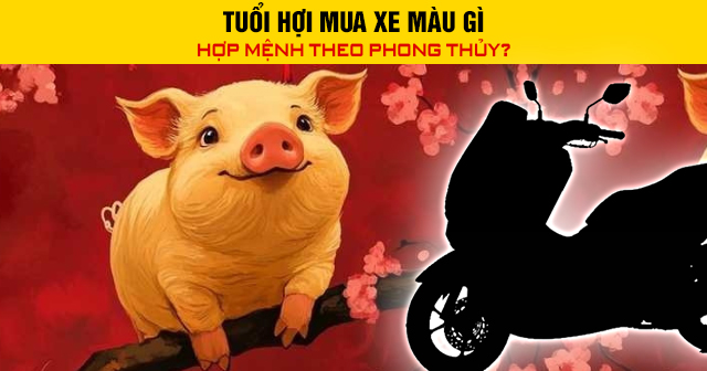 Tuổi Hợi mua xe màu gì hợp mệnh theo phong thủy?