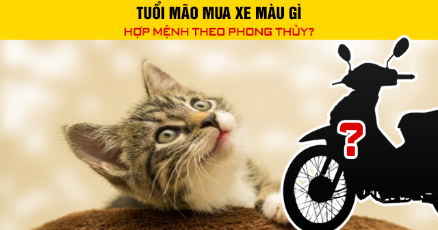 Tuổi Mão mua xe màu gì hợp mệnh theo phong thủy?