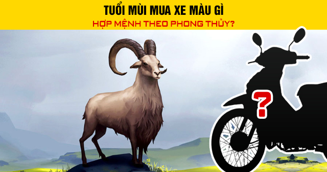 Tuổi Mùi mua xe màu gì hợp mệnh theo phong thủy?