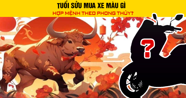 Tuổi Sửu mua xe màu gì hợp mệnh theo phong thủy?
