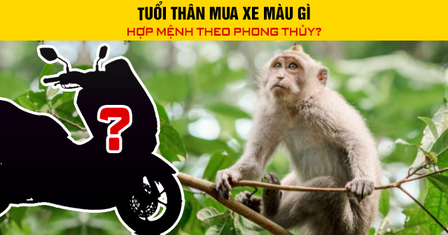 Tuổi Thân mua xe màu gì hợp mệnh theo phong thủy?