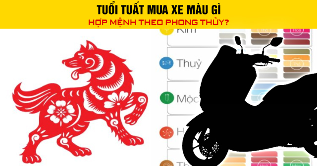 Tuổi Tuất mua xe màu gì hợp mệnh theo phong thủy?