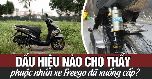 Dấu hiệu nào cho thấy phuộc nhún xe Freego đã xuống cấp?