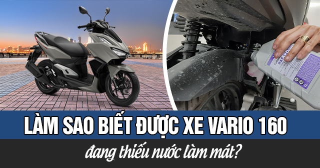 Làm sao biết được xe Vario 160 đang thiếu nước làm mát?