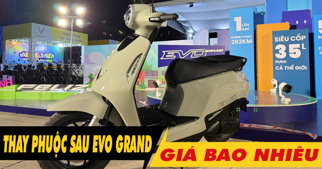 Thay nhún giảm xóc sau xe điện Evo Grand giá bao nhiêu?