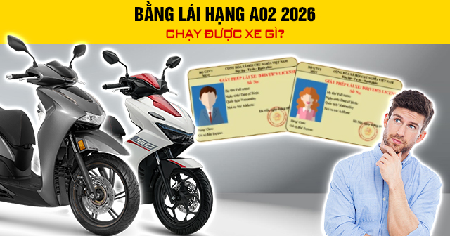 Bằng lái hạng A02 2026 chạy được xe gì?
