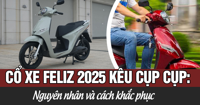 Cổ xe Feliz 2025 kêu cụp cụp: Nguyên nhân và cách khắc phục